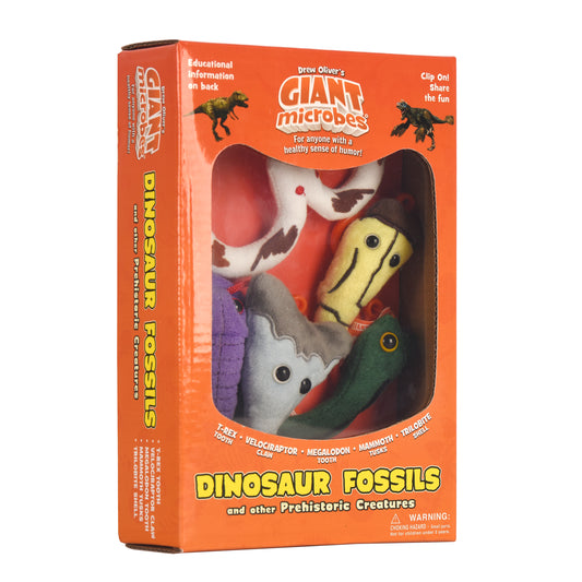 Dinosaur Fossils Gift Box