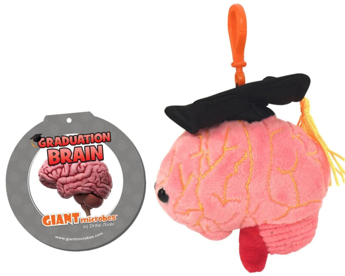 Grad Brain key chain – Giant Microbes Canada