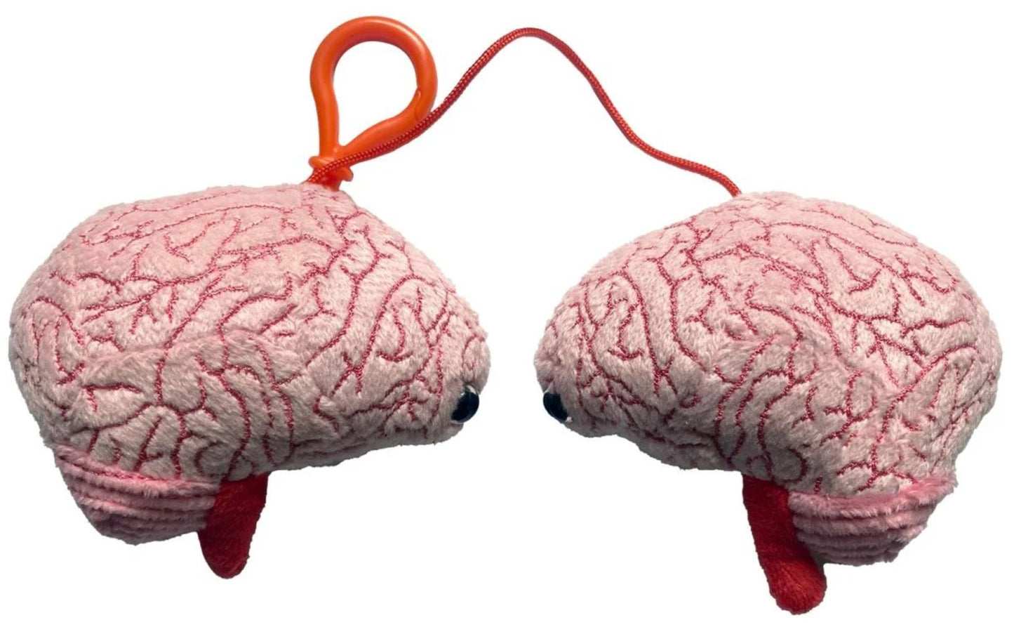 Brain Model key chain