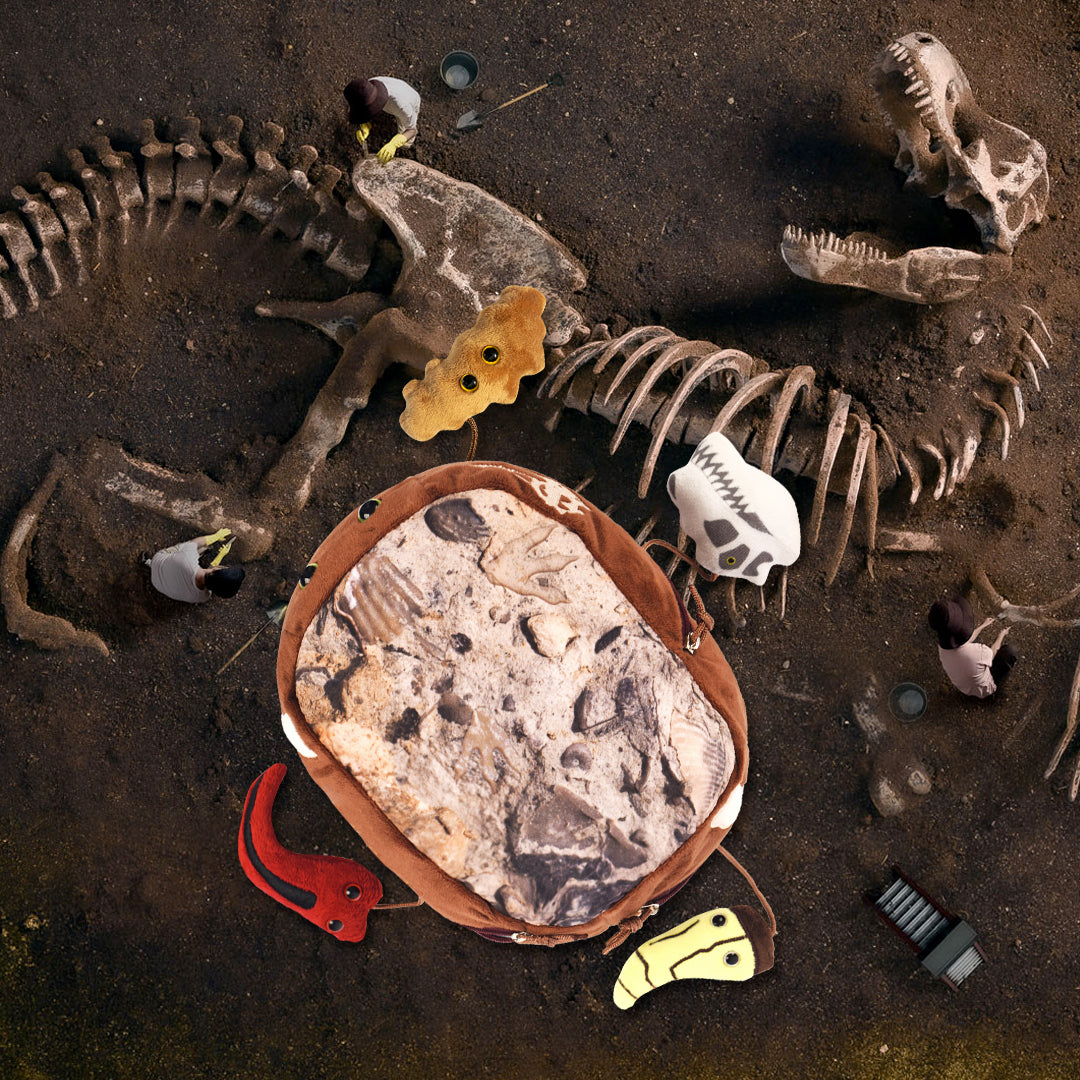 T. Rex Fossil Dig