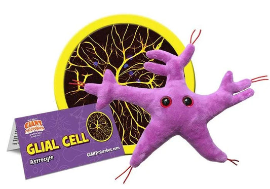 Glial Cell (Astrocyte)