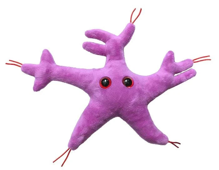 Glial Cell (Astrocyte)