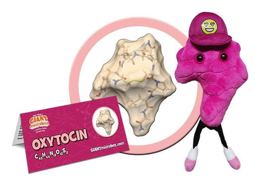 Oxytocin