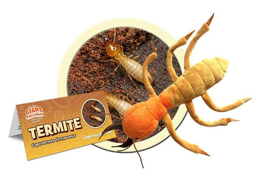 Termite