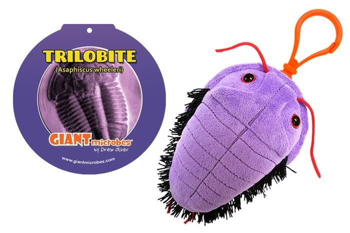 Trilobite Key Chain