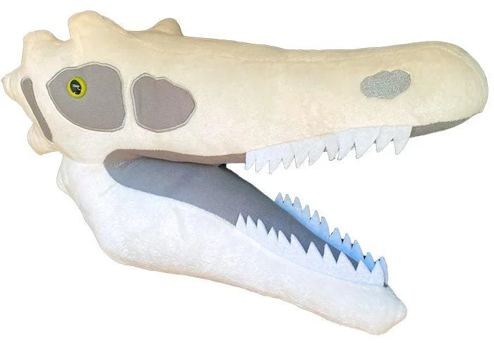 Gigantic Velociraptor Skull