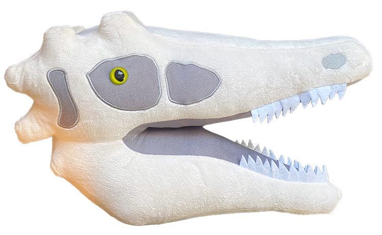 Gigantic Velociraptor Skull