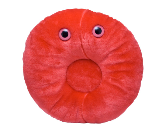 Red Blood Cell (Erythrocyte)