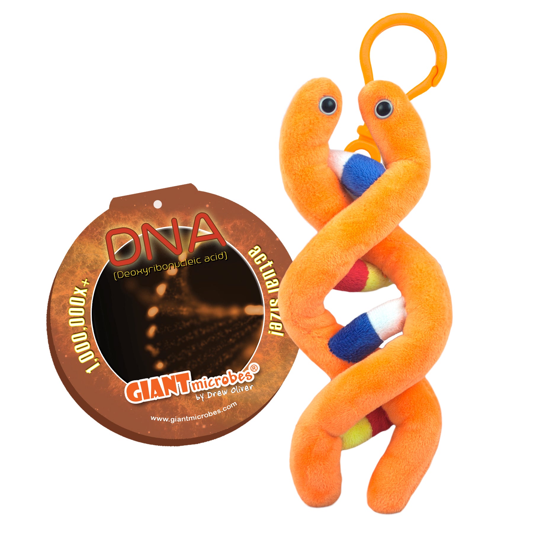 DNA Key Chain (Deoxyribonucleic Acid) – Giant Microbes Canada