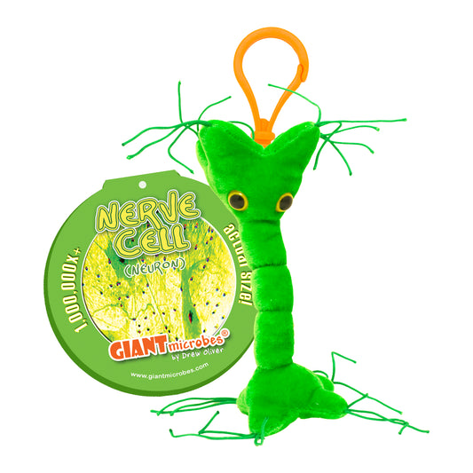 Nerve Cell key chain