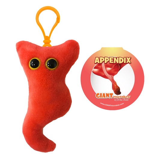 Appendix key chain