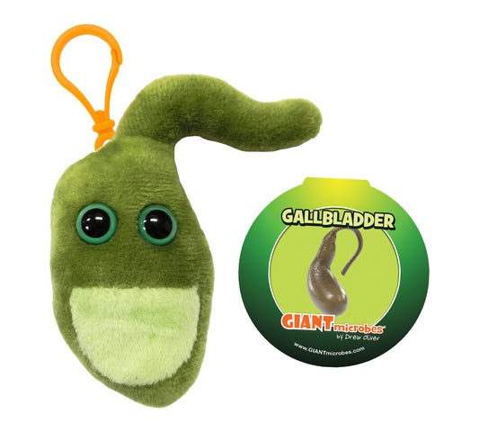 Gallbladder key chain