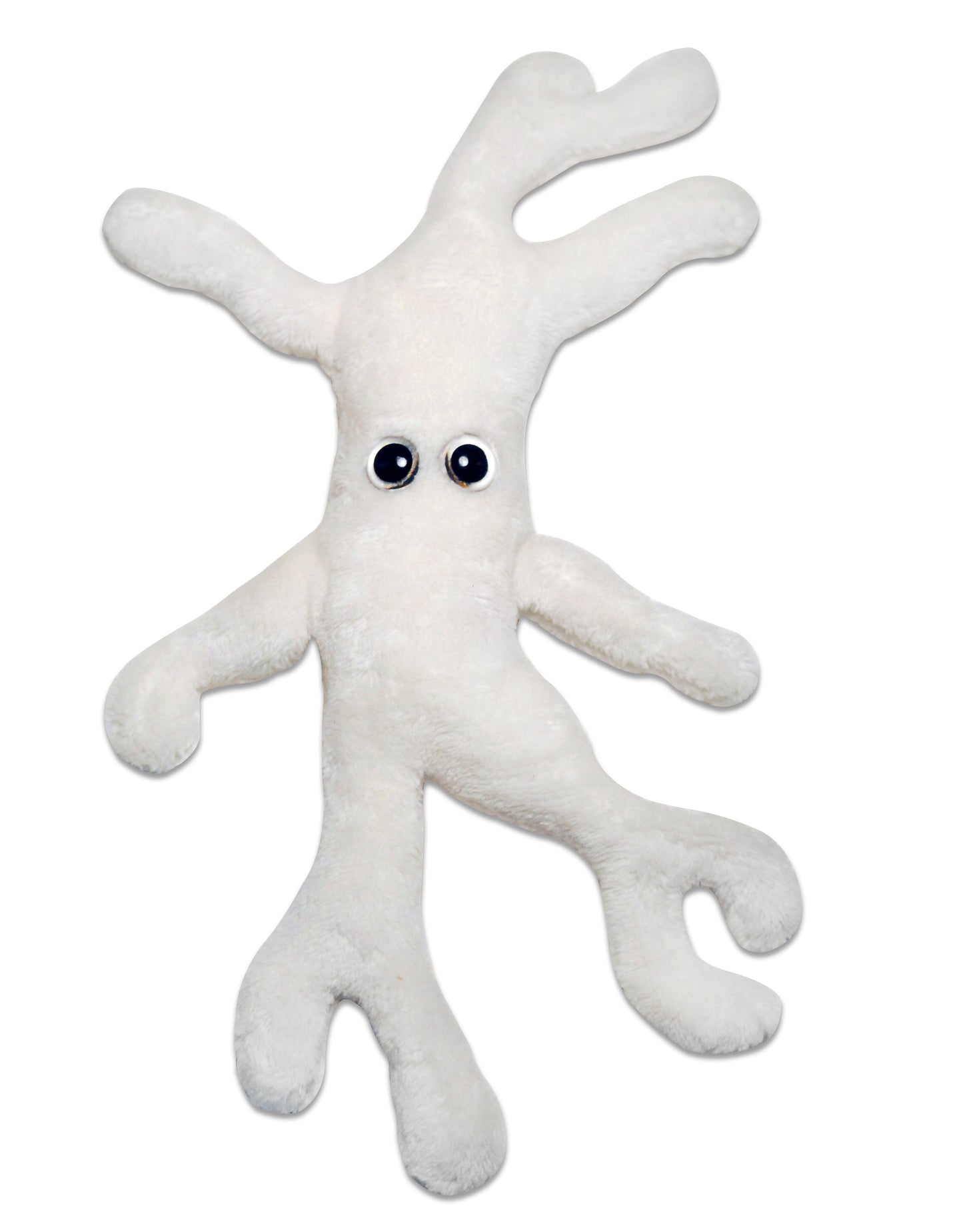 Bone Cell (Osteocyte)