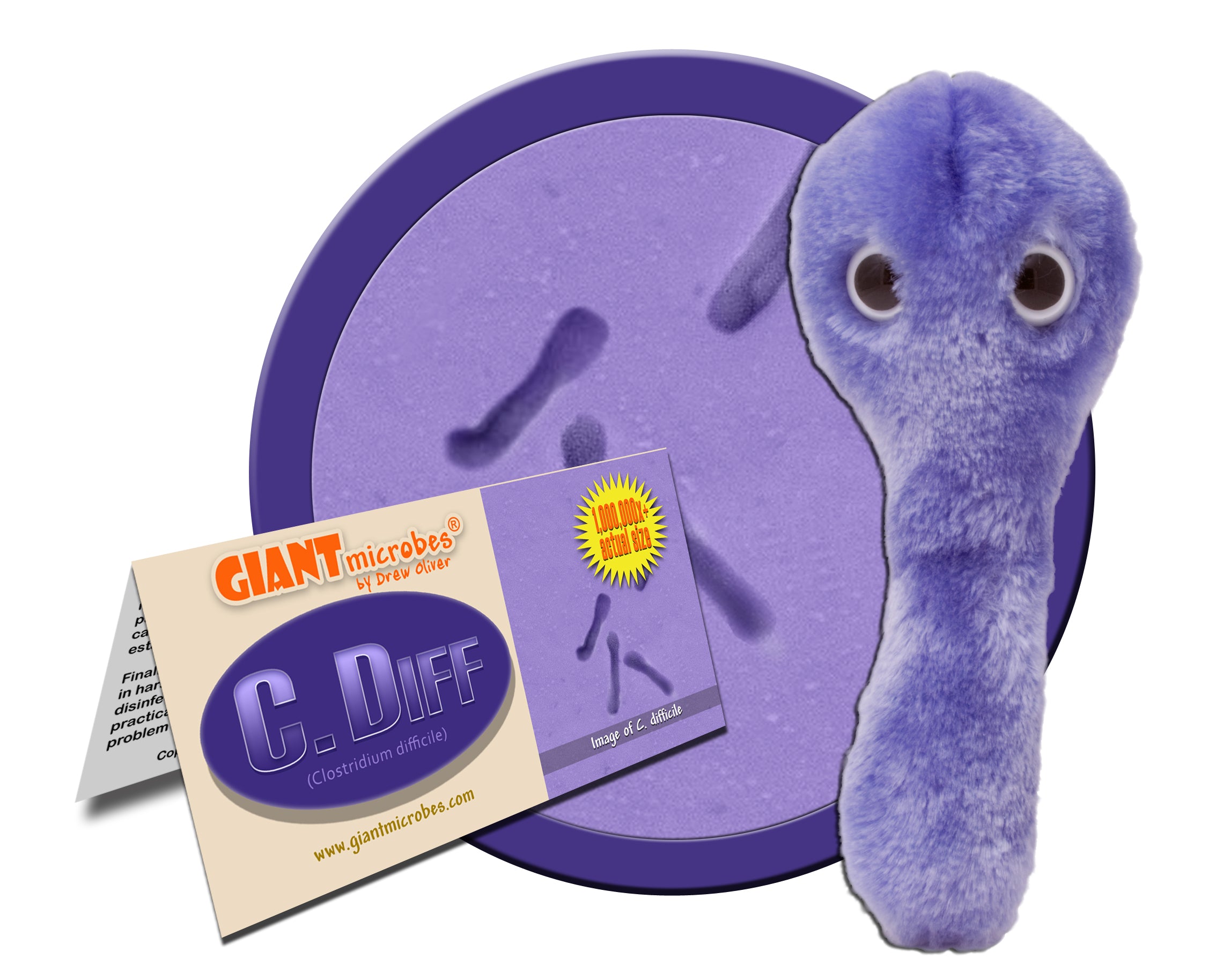 C. Diff (Clostridium Difficile) – Giant Microbes Canada