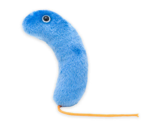Cholera (Vibrio Cholerae)