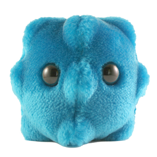 Common Cold (Rhinovirus)