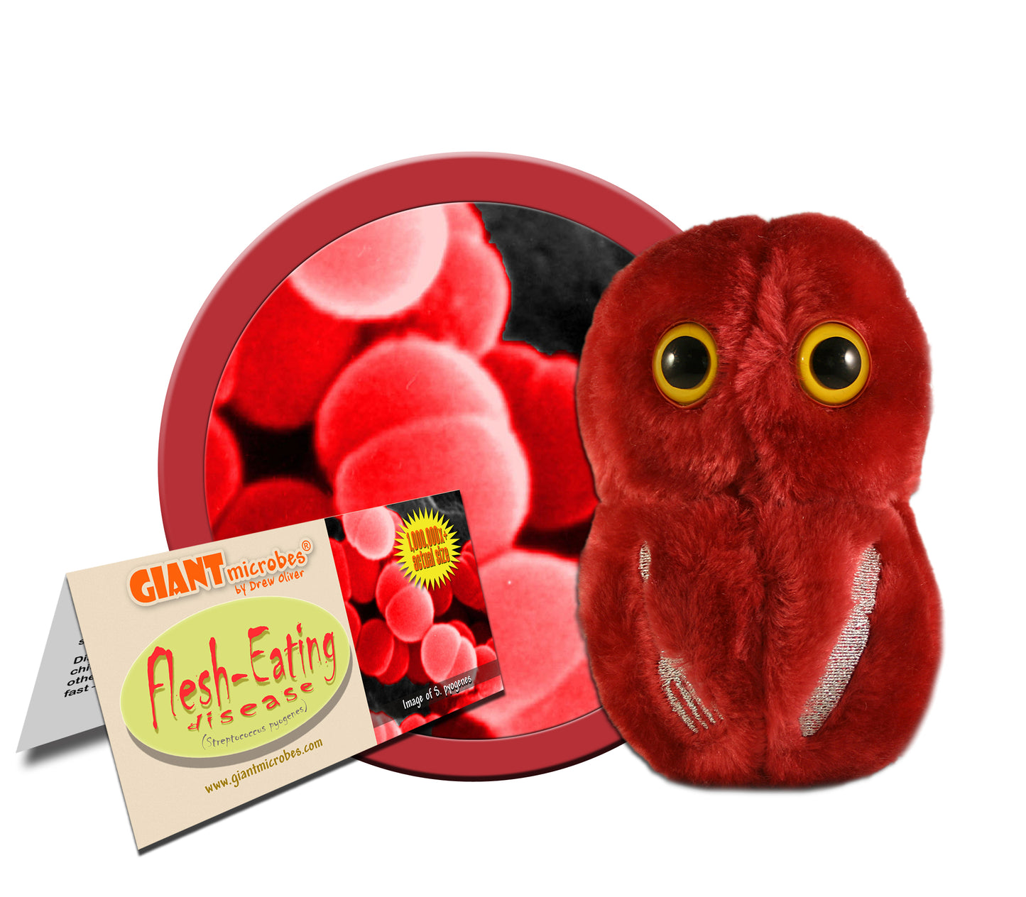 Flesh Eating (Streptococcus Pyogenes)