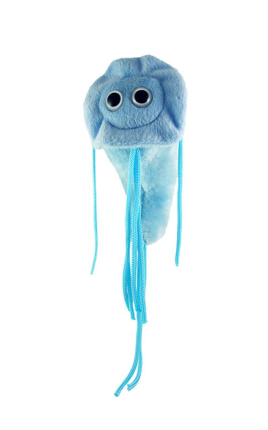Giardia (Giardia Lamblia)