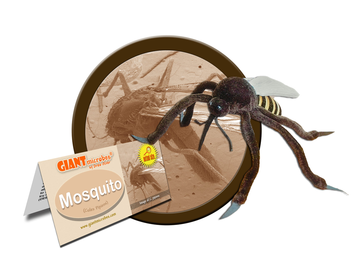 Mosquito XL 12" With Minis