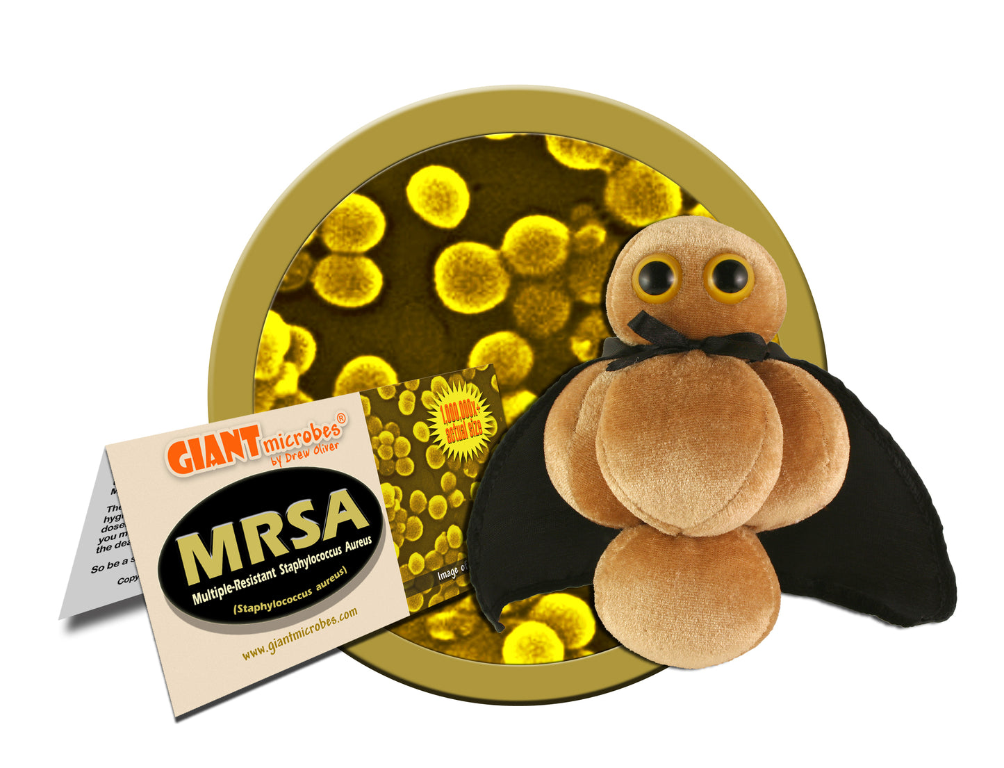 MRSA (Multiple-Resistant Staphylococcus Aureus)