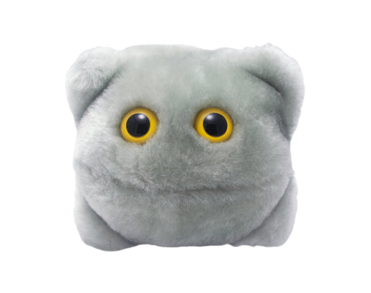 Norovirus (Norovirus)