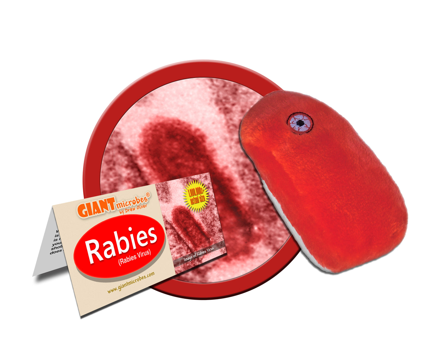 Rabies (Rabies Virus)