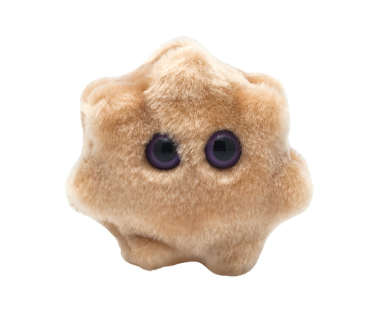 Rotavirus (Rotavirus)