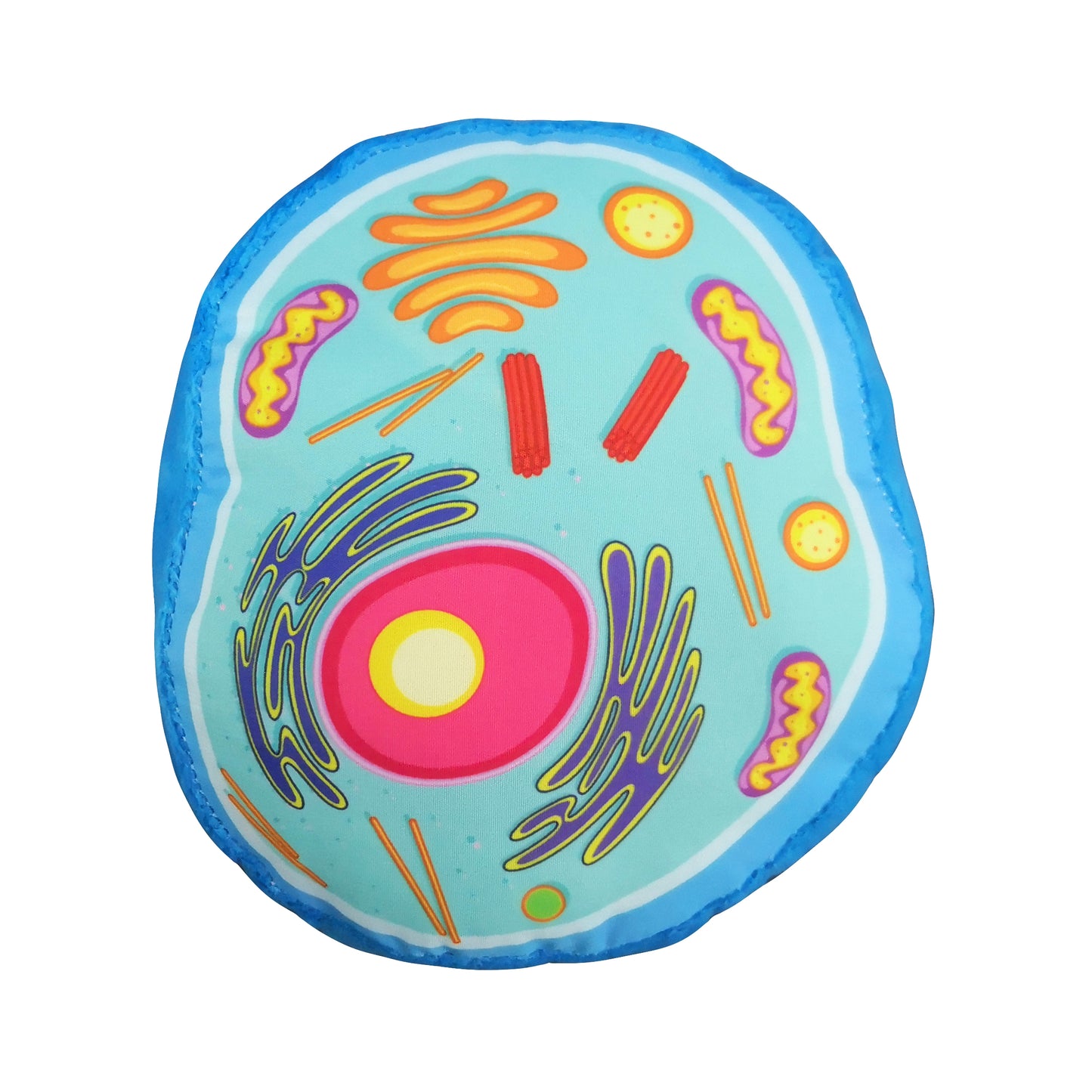 Animal Cell