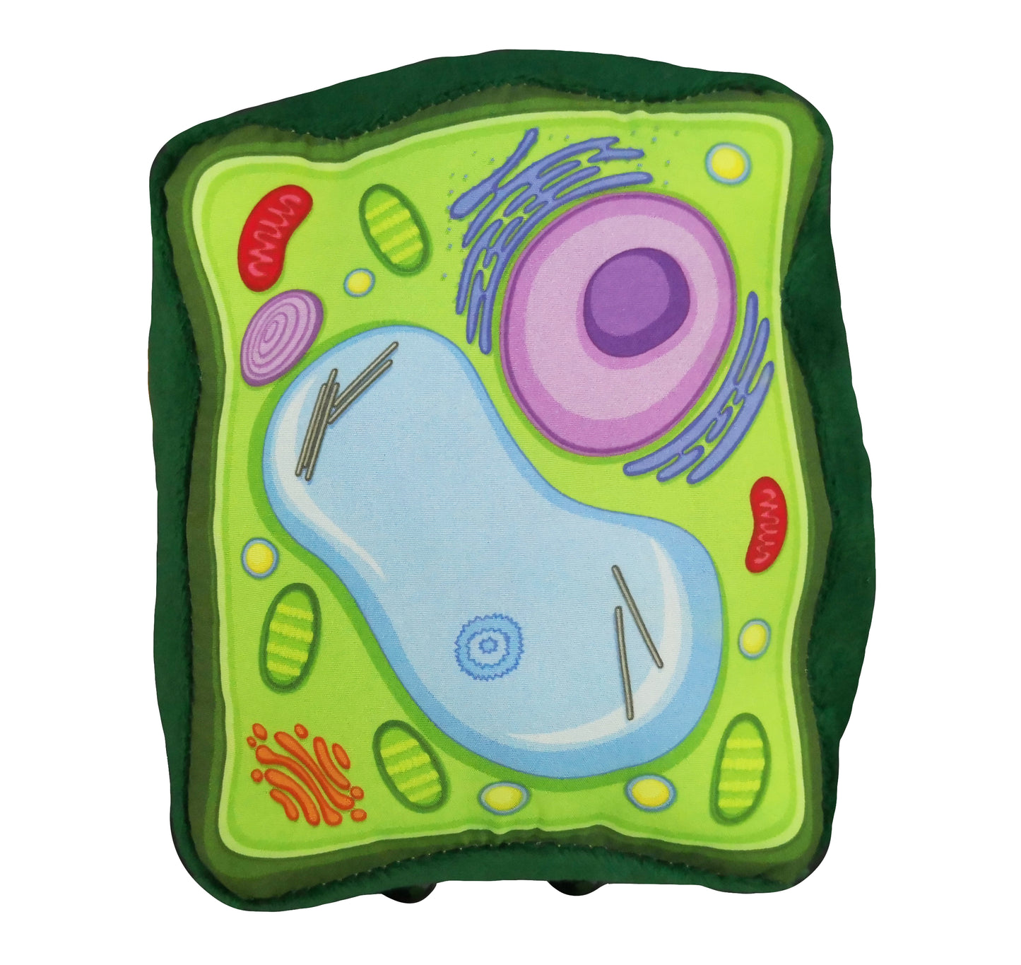 Plant Cell