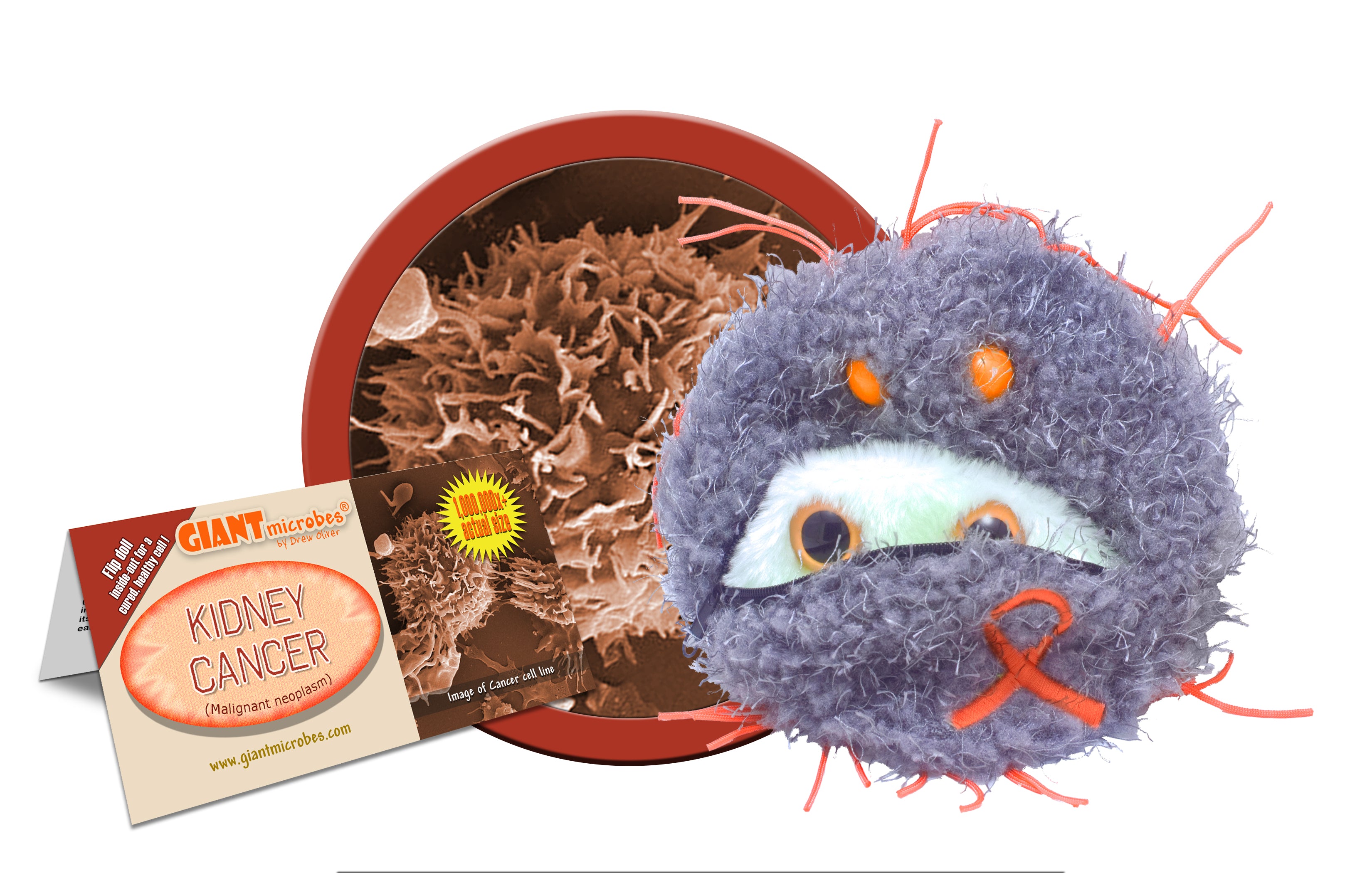 Kidney Cancer – Giant Microbes Canada