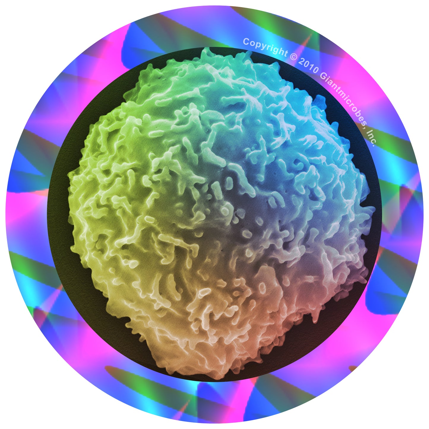 Stem Cell (Stem Cell)