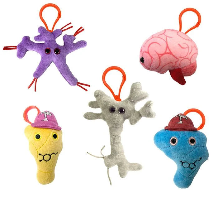 Brain Science Gift Box