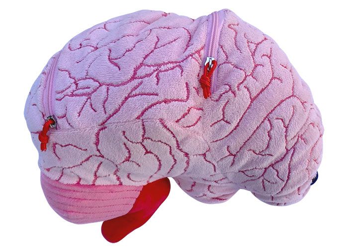 Deluxe Brain with With Hidden Cells & Neurotransmitters