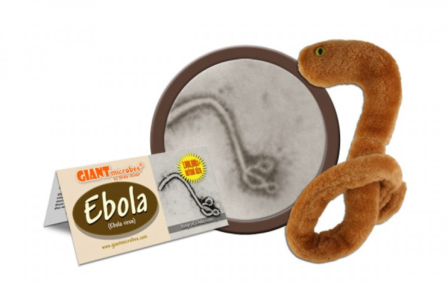 Ebola (Ebola Virus)