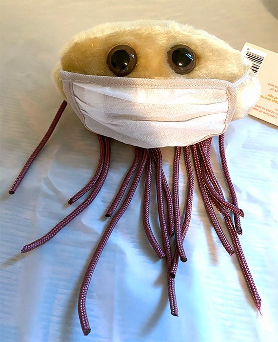 Mask For Microbes