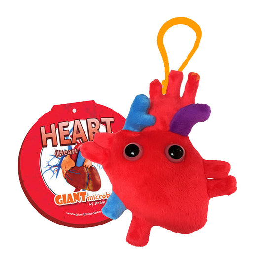 Heart (Heart Organ) key chain