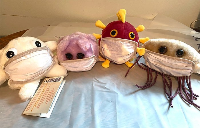 Mask For Microbes