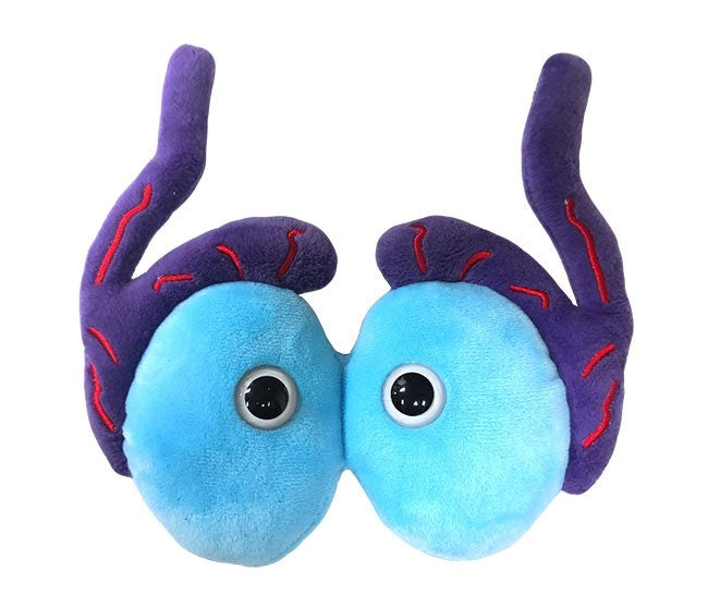 Testicles – Giant Microbes Canada