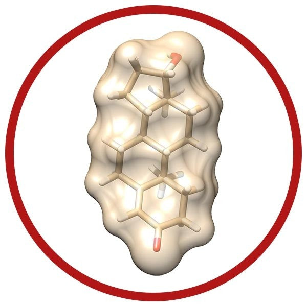 Testosterone