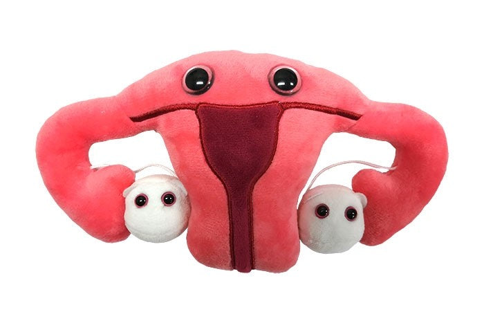 Uterus